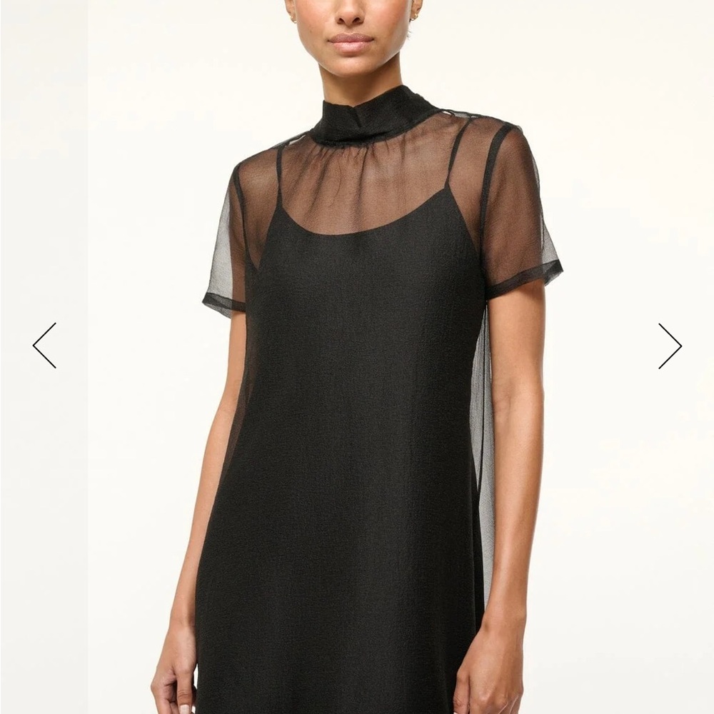 Elegant Black Sheer Dress